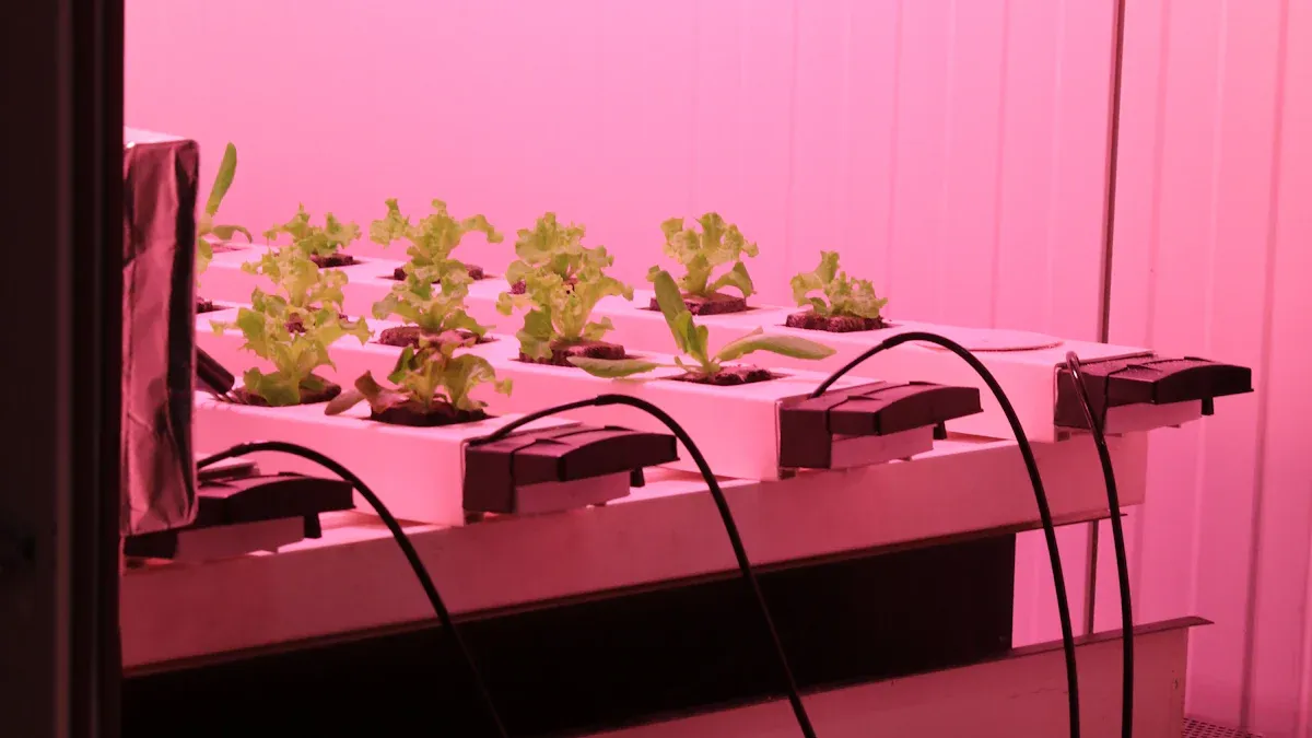 Чи можуть вертикальні світильники справді допомогти вашим рослинам краще рости